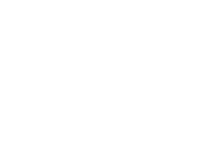 Evelt - Top Web Developer in NYC - 2024